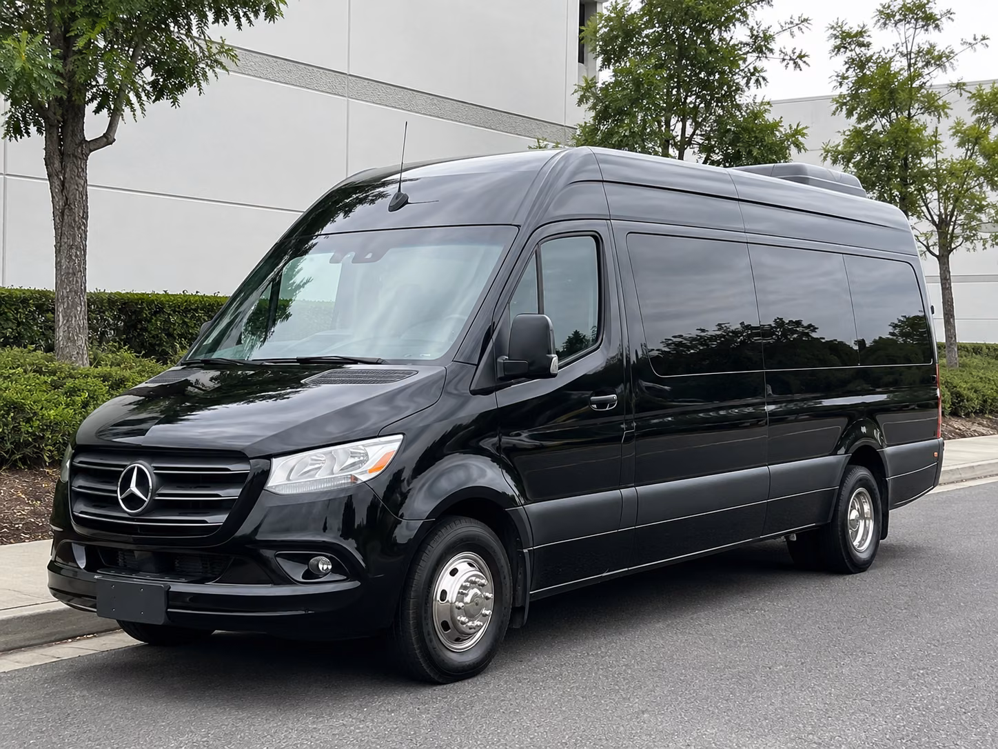 sprinter van with driver