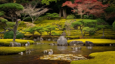 destination japanese tea garden