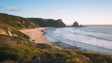 seal point park